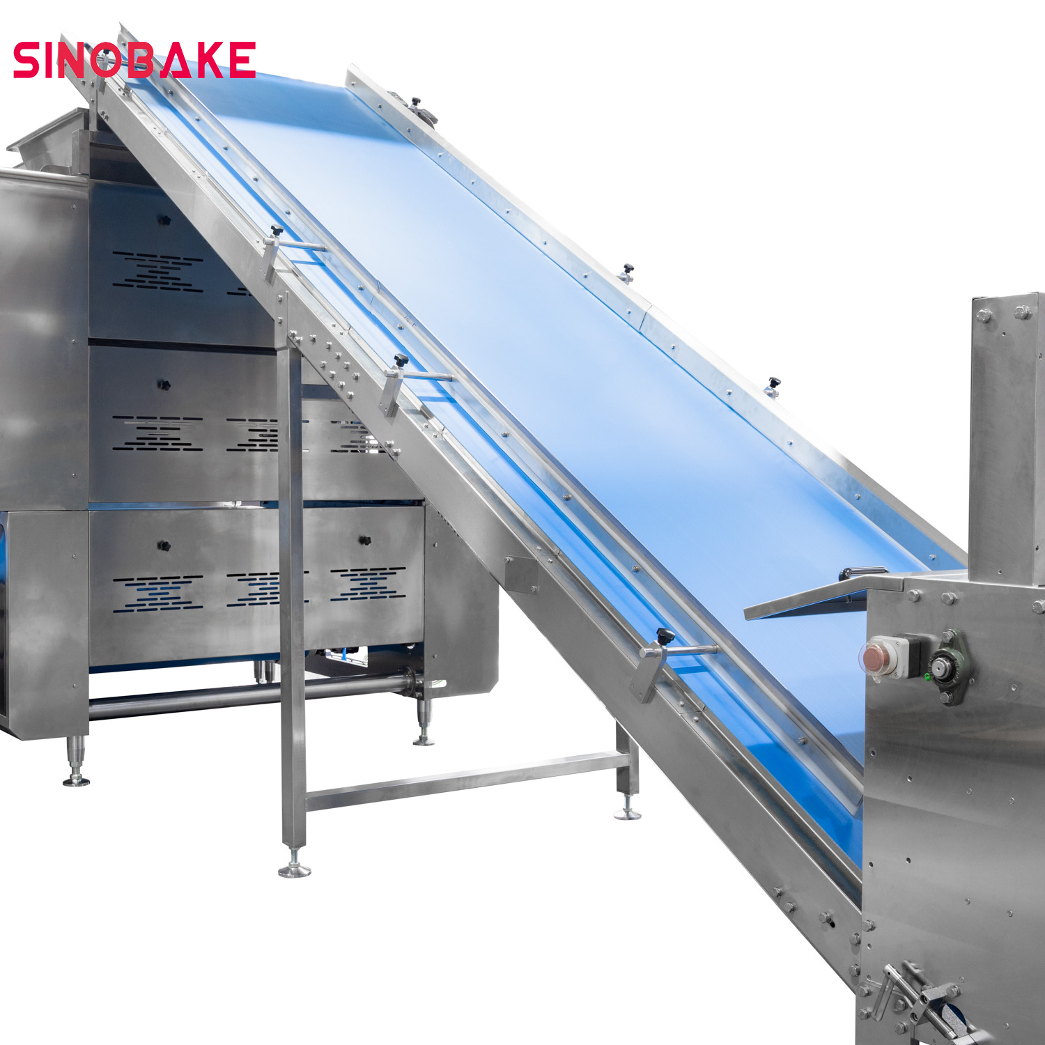 dough feeding conveyor