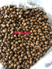 High Quality Pet Food Production Line for Dry Dog And Cat Feeding 