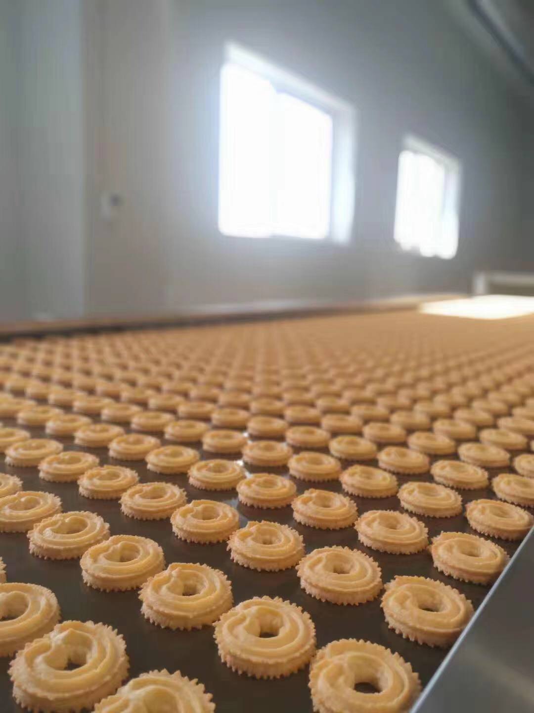 SINOBAKE Automatic Cookie Production Line (Wire- Cut and Depositor)