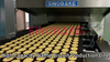 Industrial Waffle Biscuit Production Line 