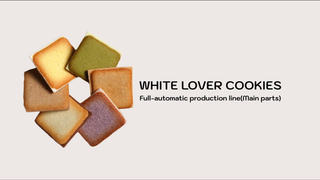 Sinobake’s Fully Automatic White Lover Biscuit Production Line | CE-Certified, High-Capacity & Customizable
