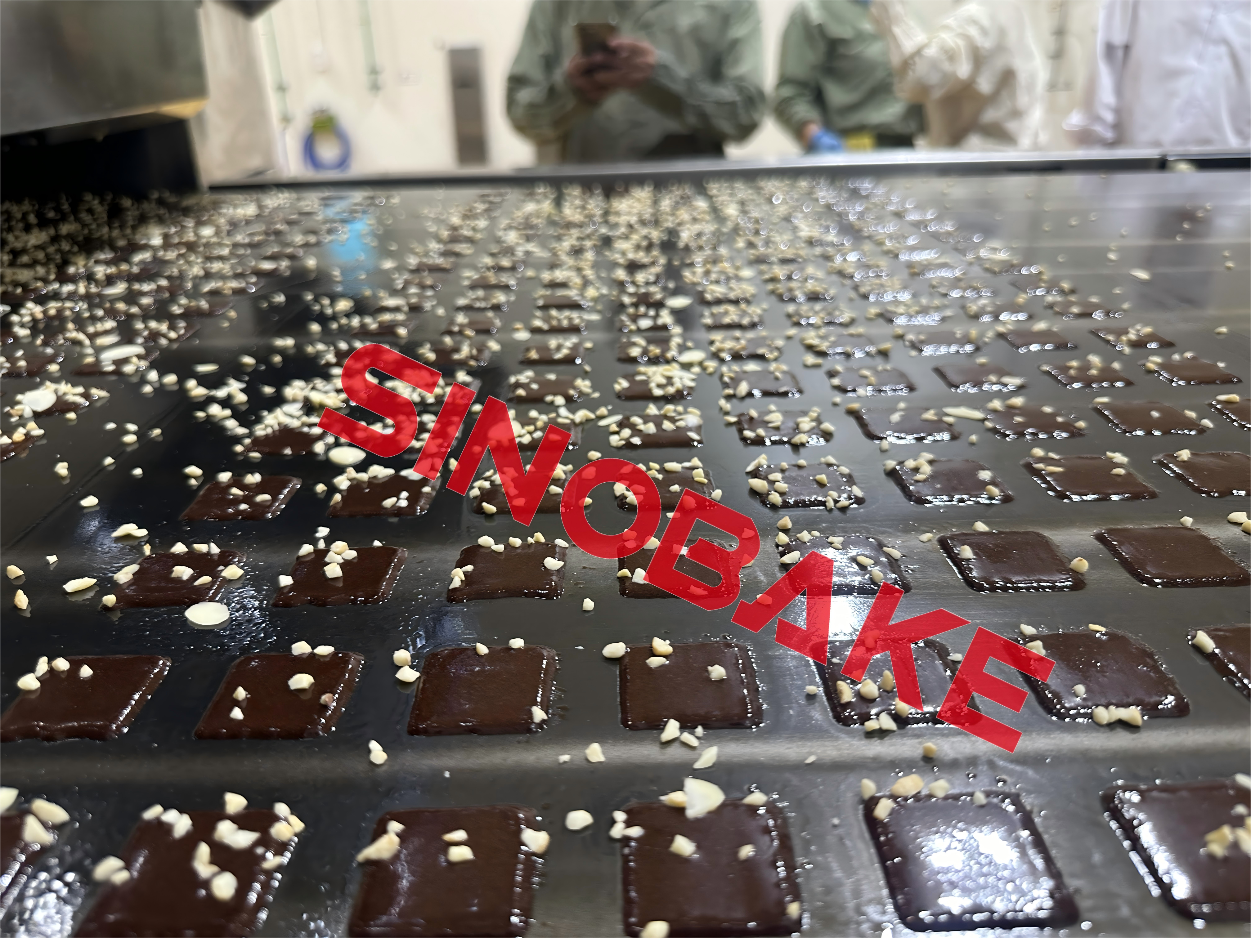 Rotary Chocolate Depositing Machine